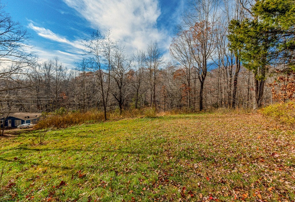 Property Photo:  2598 Meadow Creek Rd  VA 24533 