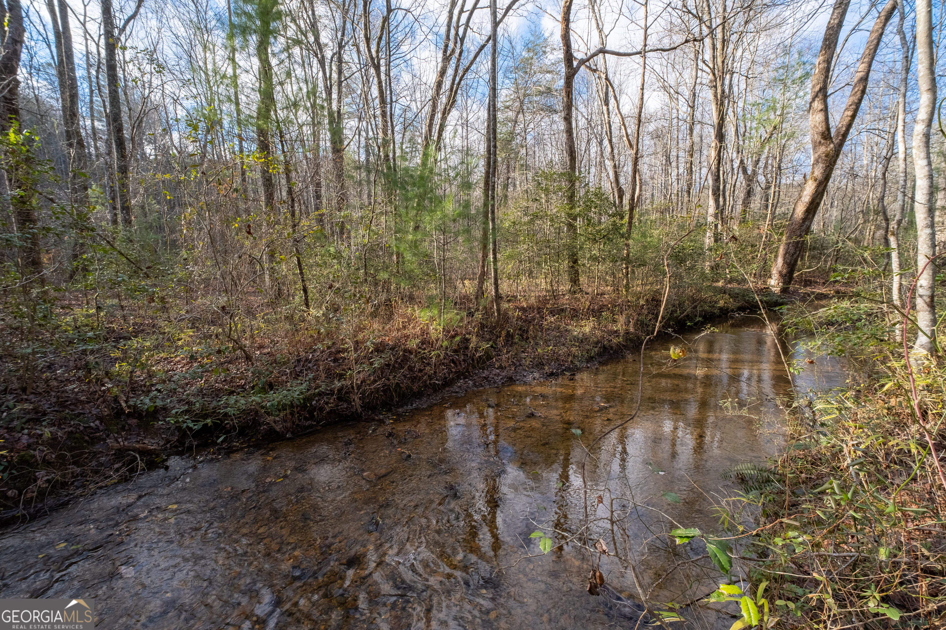 Property Photo:  117 Meadowbrook Lane  GA 30540 