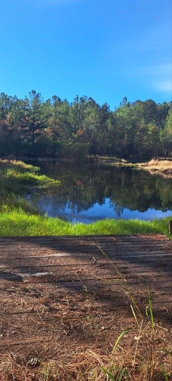 Property Photo:  384 Canal Road  GA 31543 