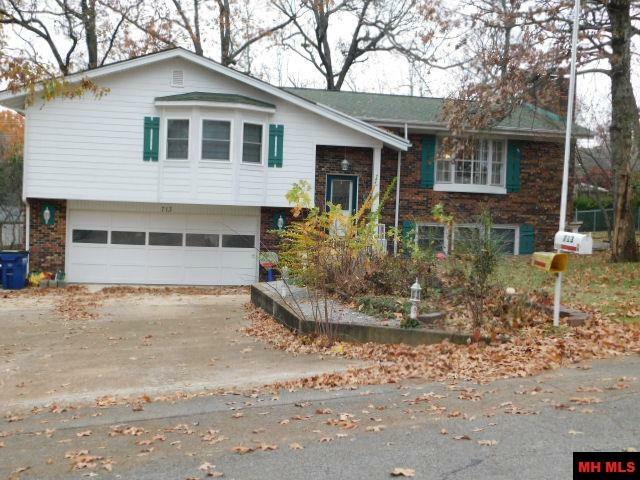 Property Photo: 713 Oak Knoll Drive AR 72653
