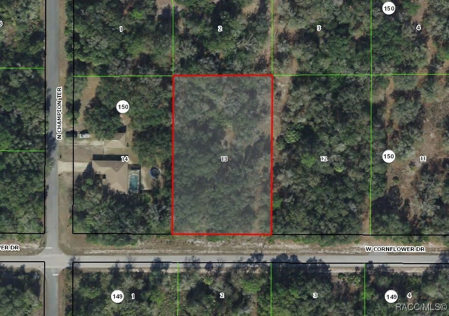 Property Photo:  11985 W Cornflower Drive  FL 34428 