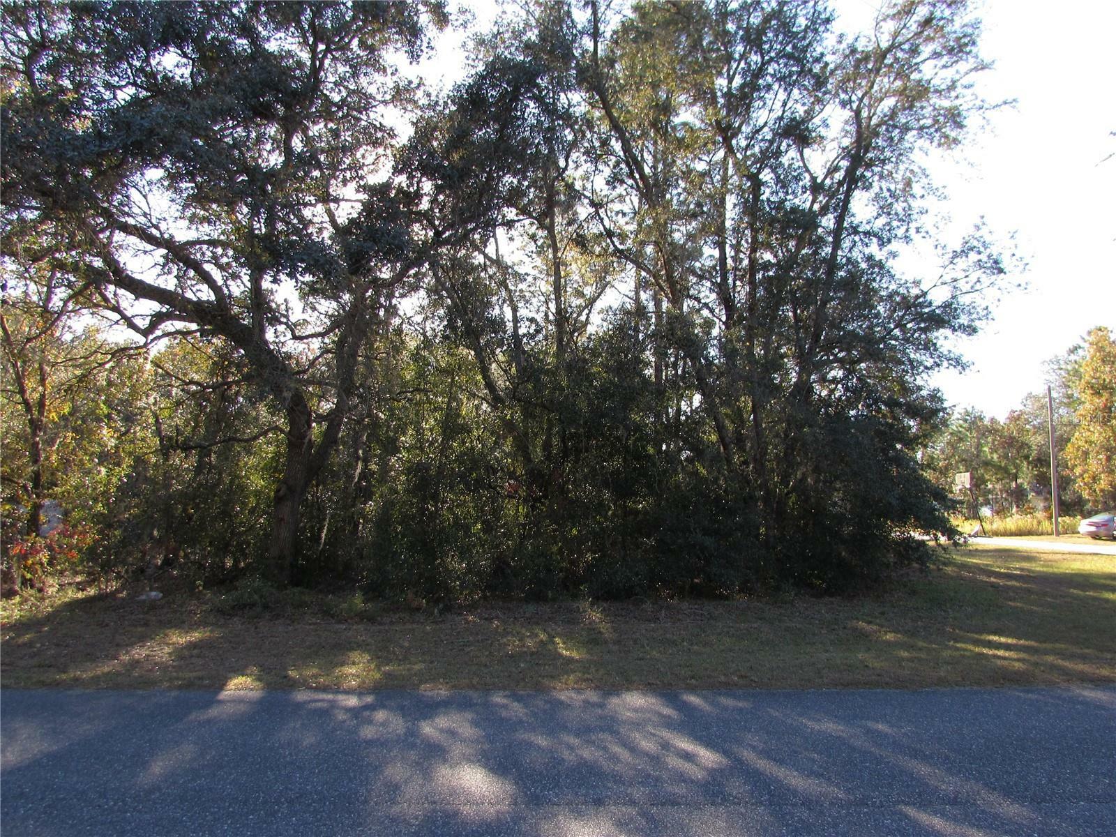 Property Photo:  60 W Navarro Place  FL 34434 