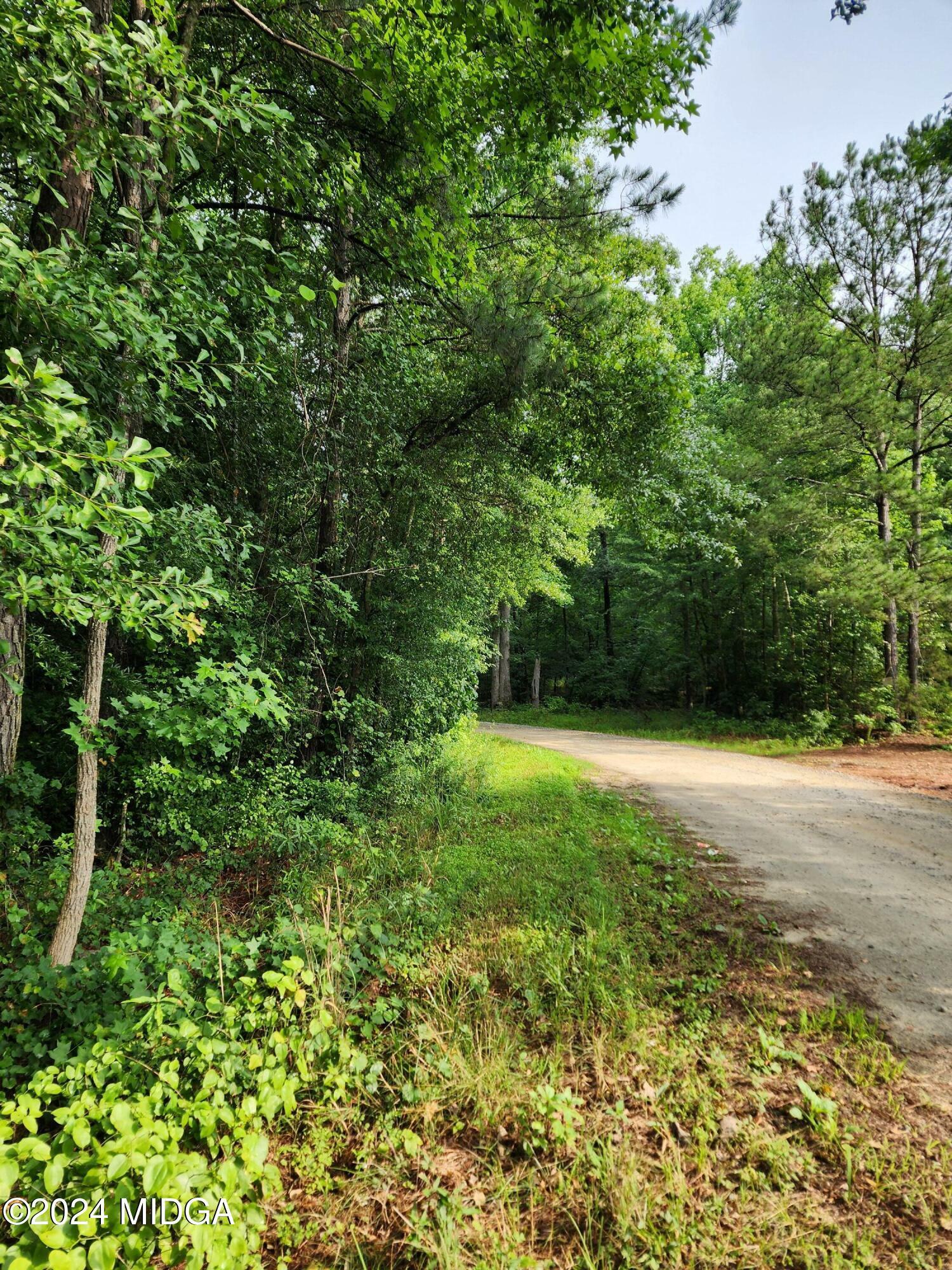 Property Photo:  0 Bunch Road  GA 30233 