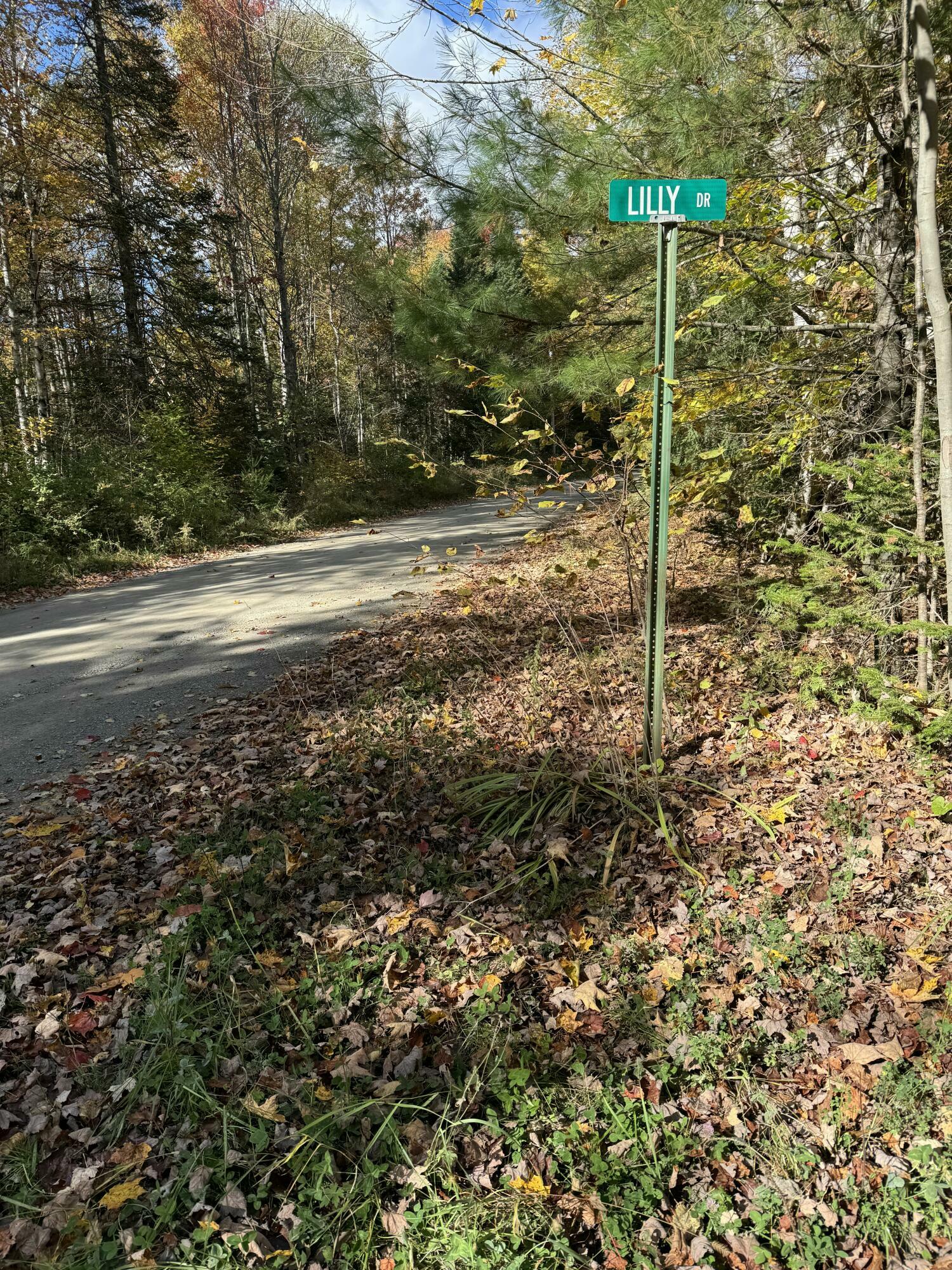 Property Photo:  Lot 9-1 Lilly Drive  ME 04953 