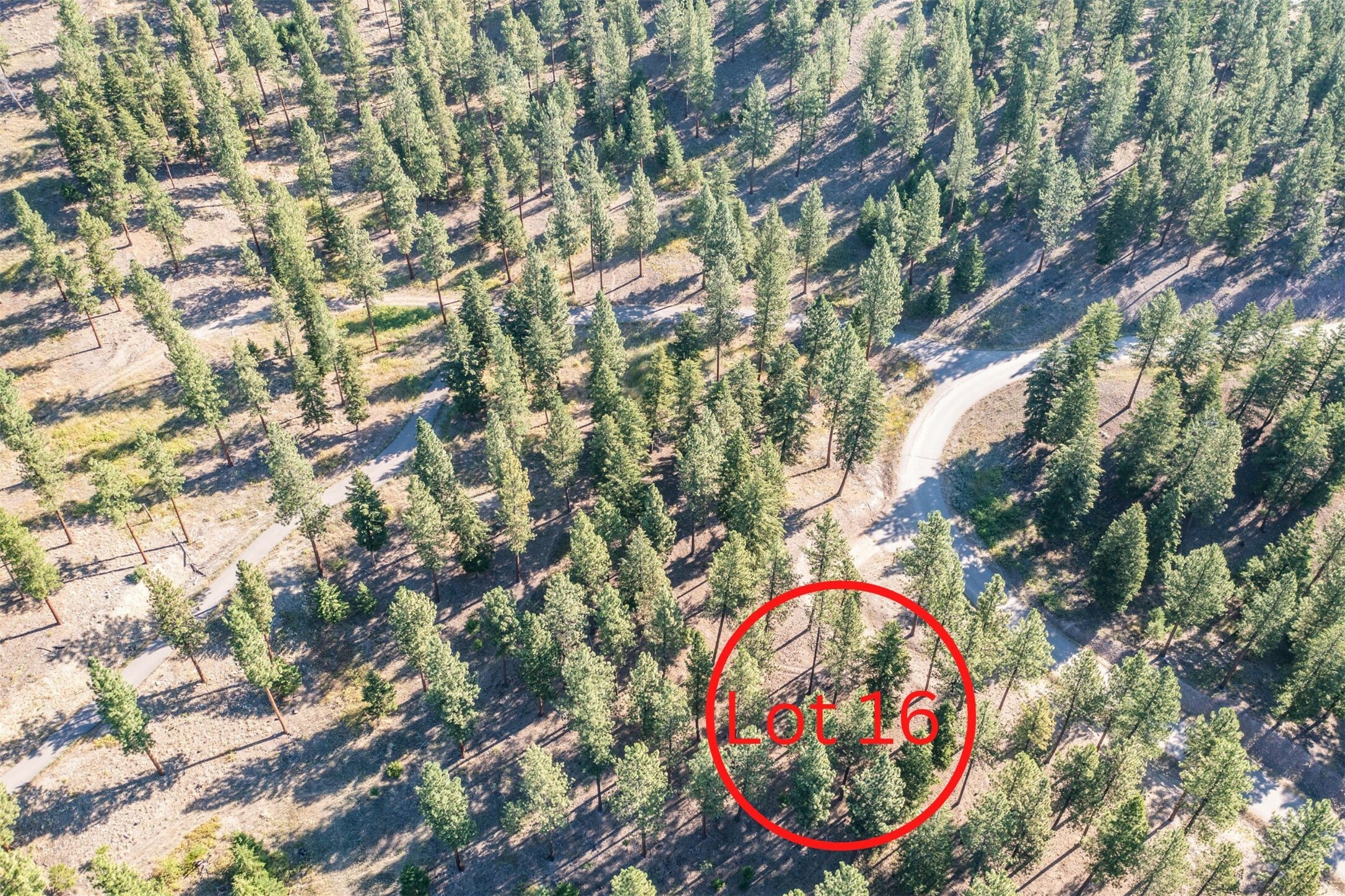 Property Photo:  Lot 16 Stonefly Road  MT 59825 