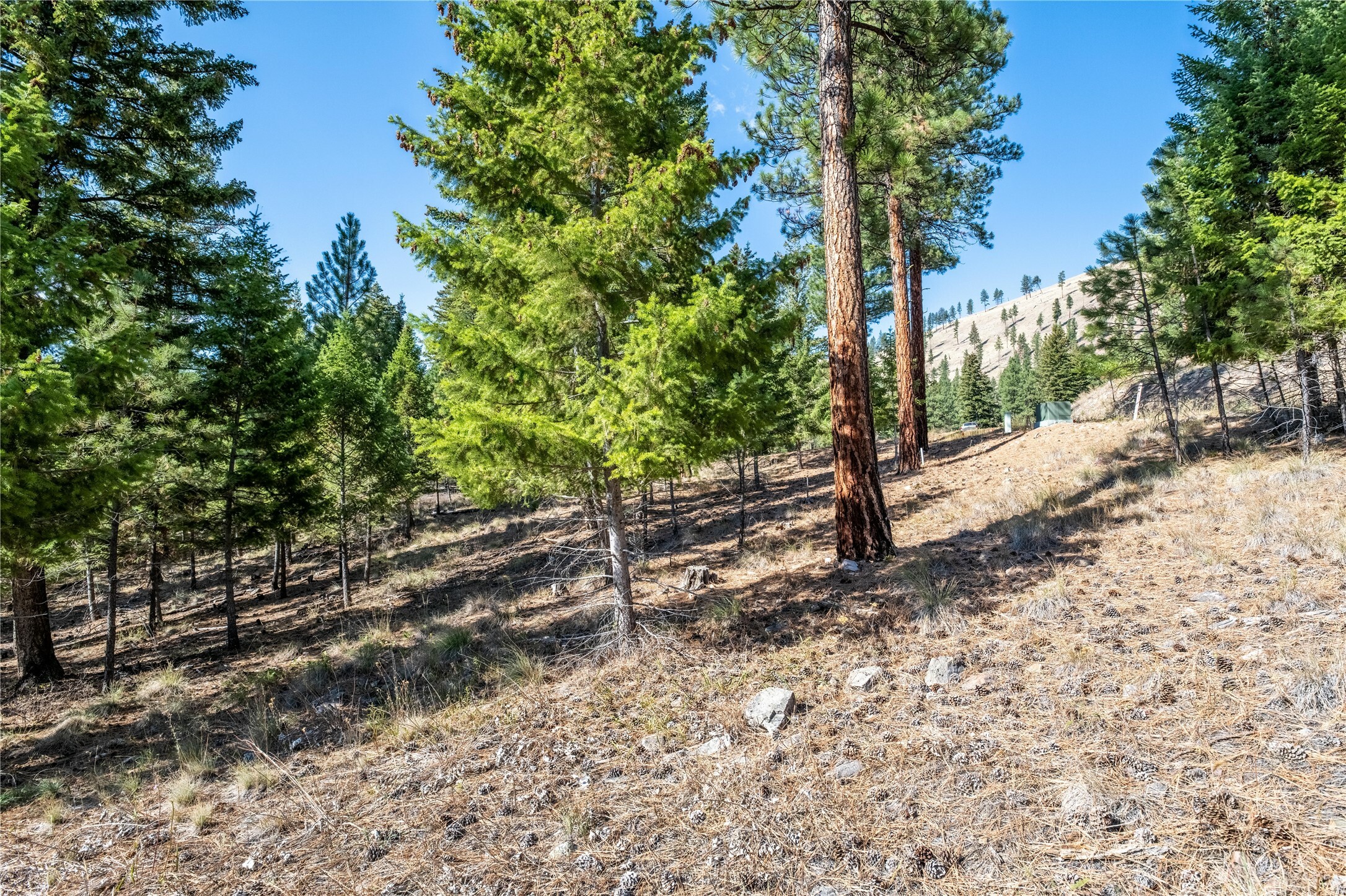 Property Photo:  Lot 9 Stonefly Road  MT 59825 