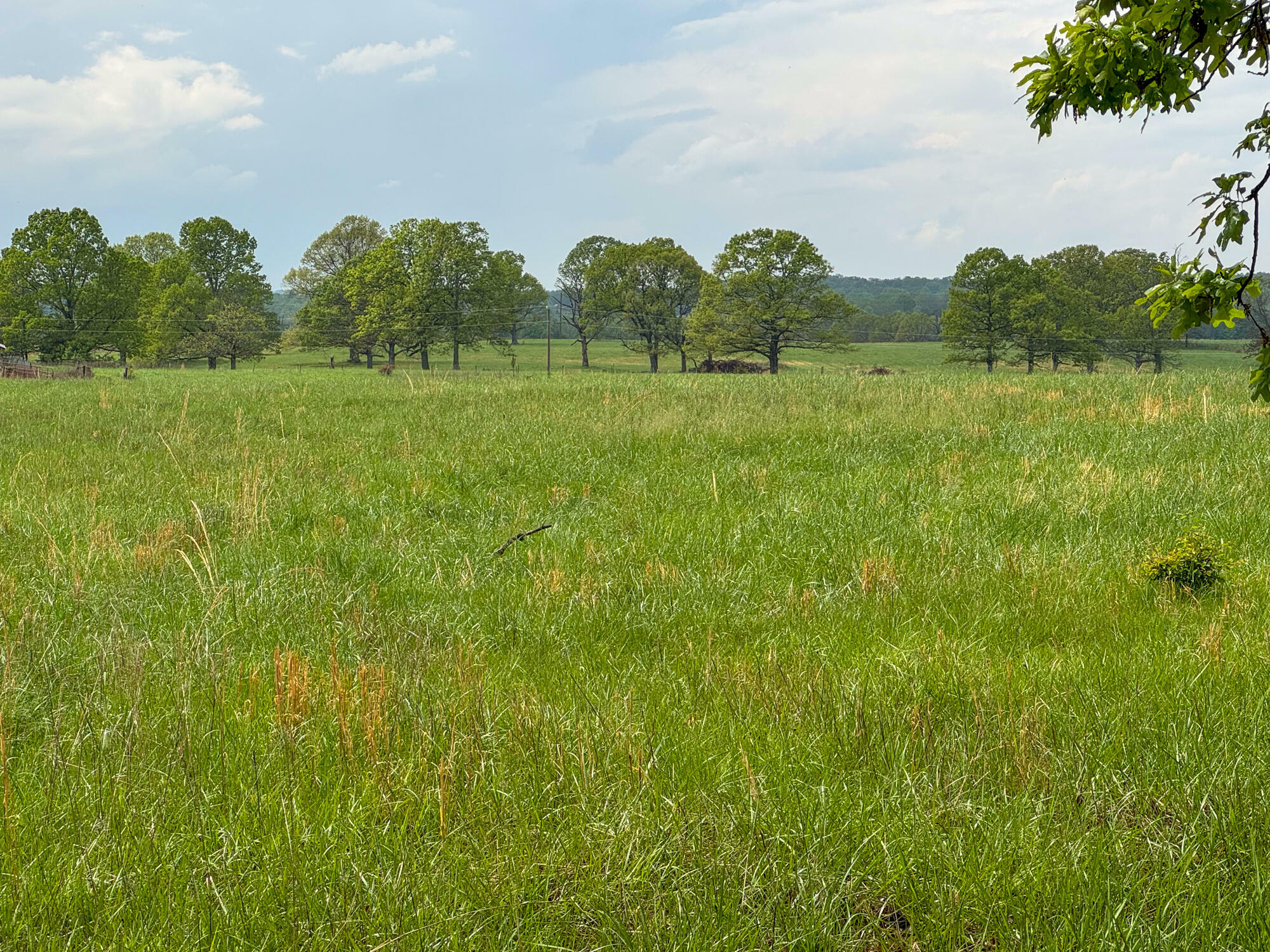 Property Photo: 12413 State Route Pp MO 65692