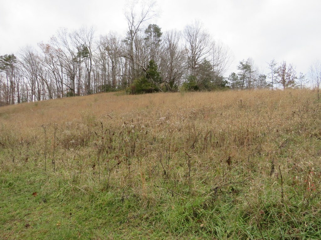 Property Photo:  2048 Ky Rt. 40  KY 41653 