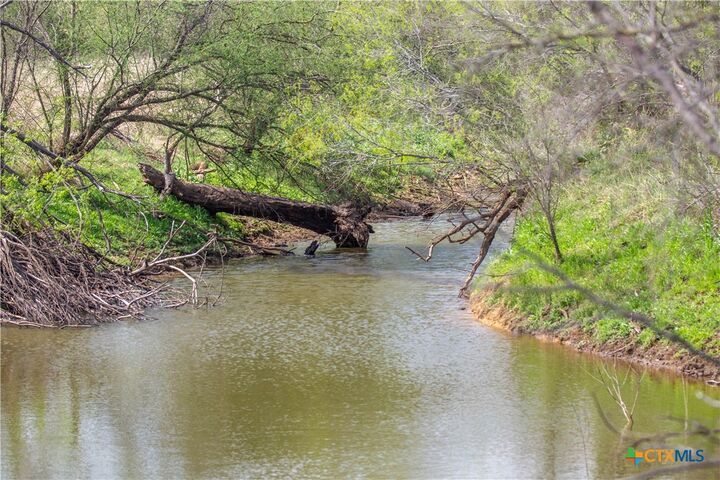 Property Photo:  560 Pr Goose Creek Lane  TX 78026 