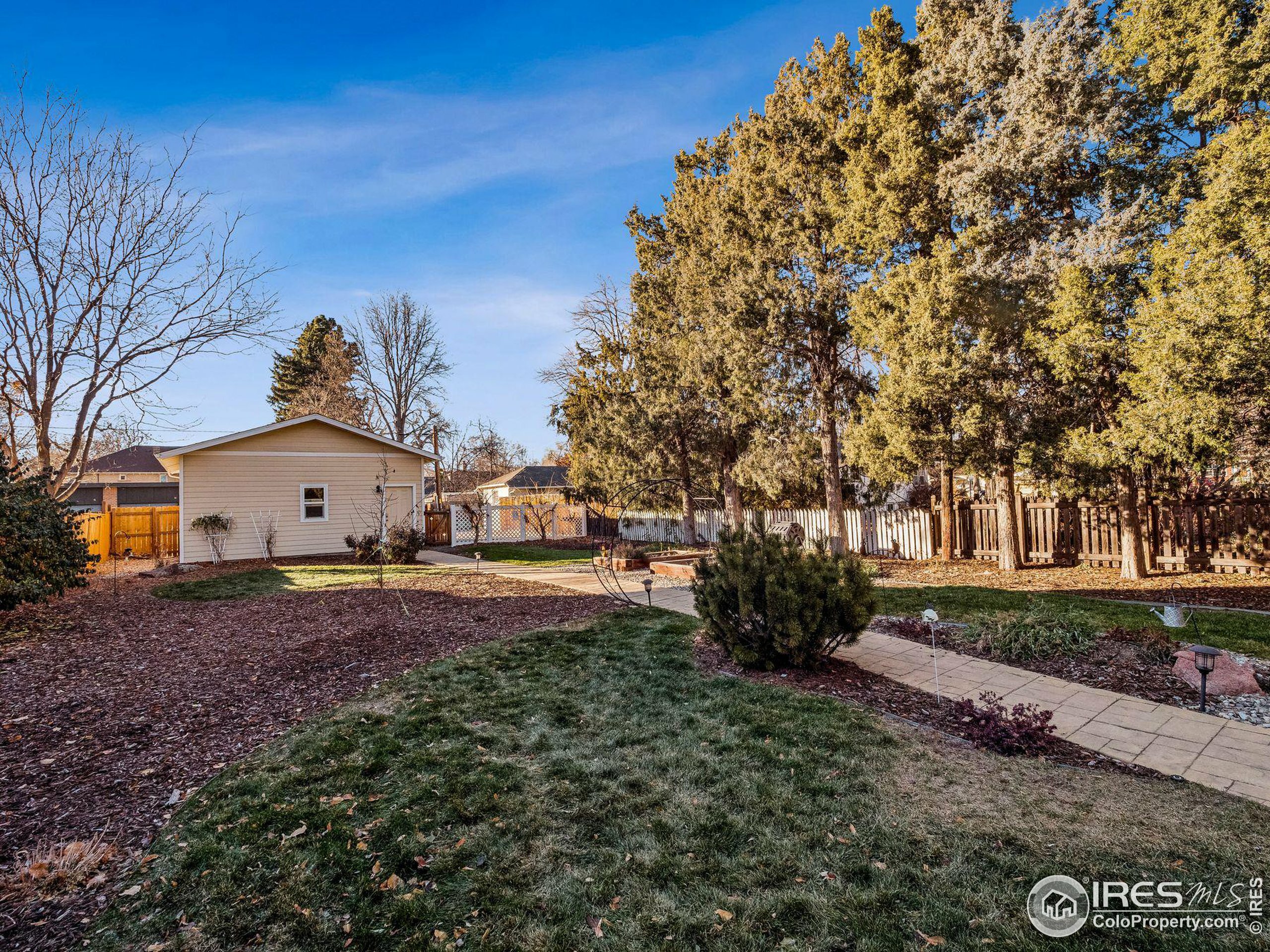 Property Photo:  609 Peterson St  CO 80524 