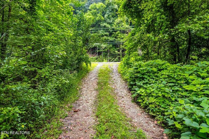 Property Photo:  0 Frost Bottom Rd  TN 37840 