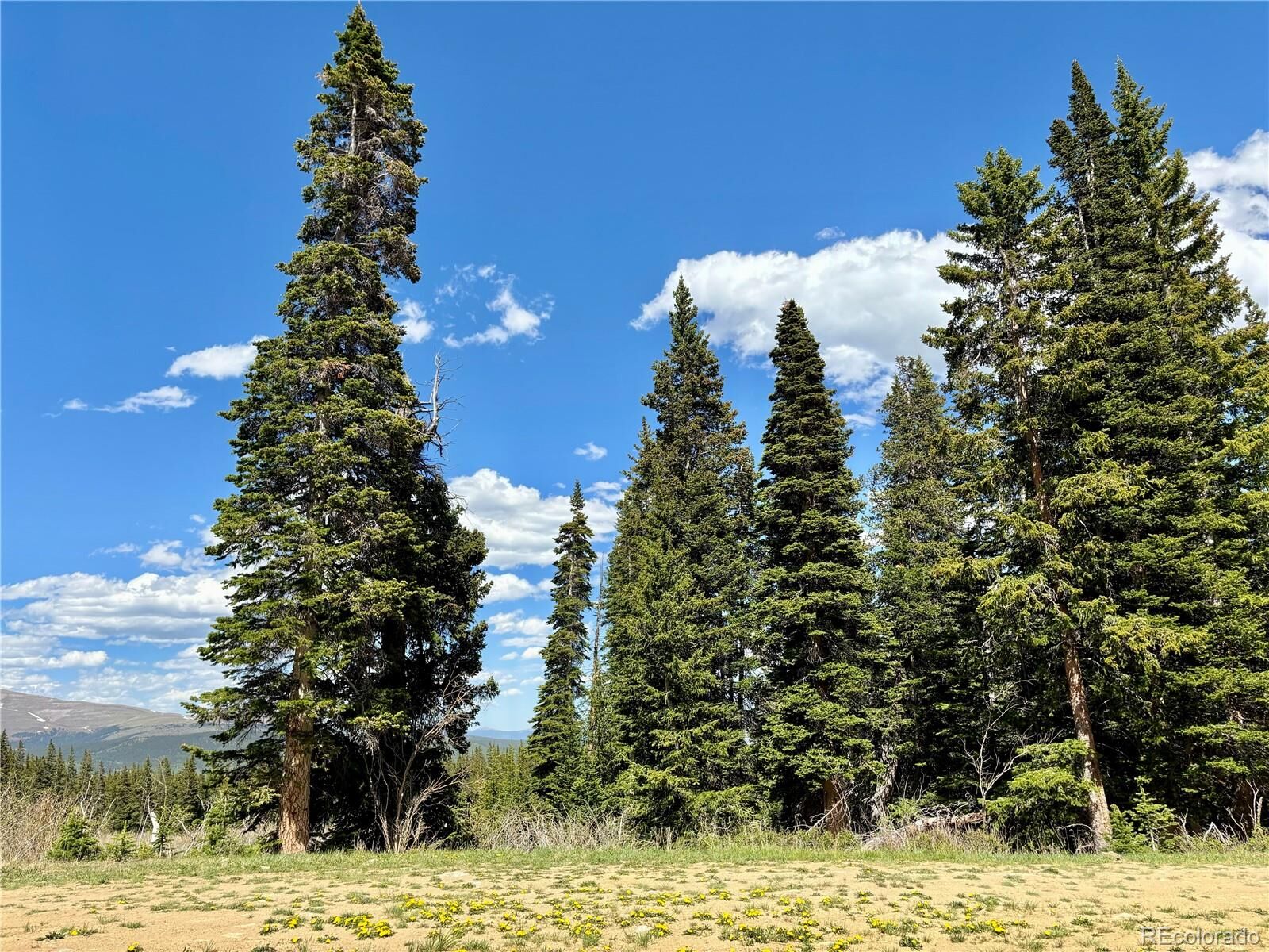 Property Photo: 674 El Lobo Lane CO 80440