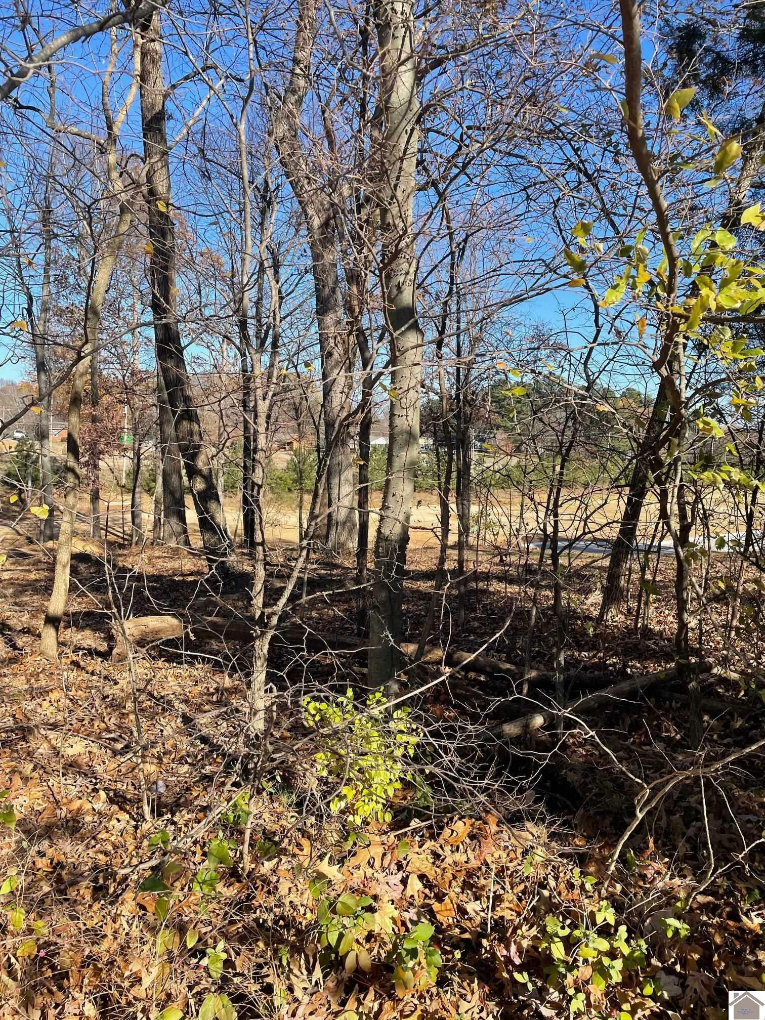 Property Photo:  Lot 83 Forest Ridge Drive  KY 42003 