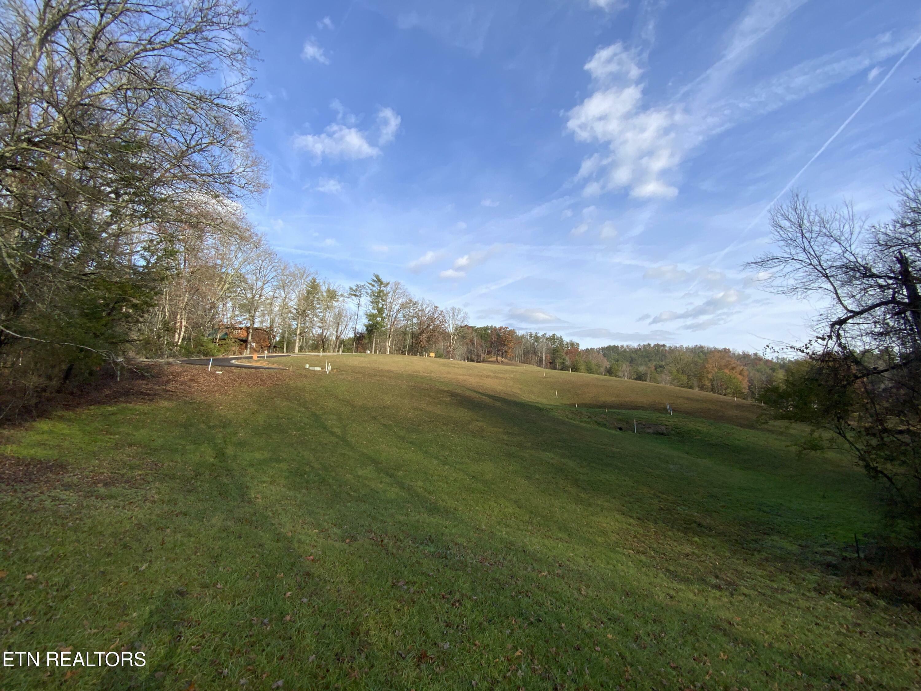 Property Photo:  Lot #75 Max Ridge Lane  TN 37862 