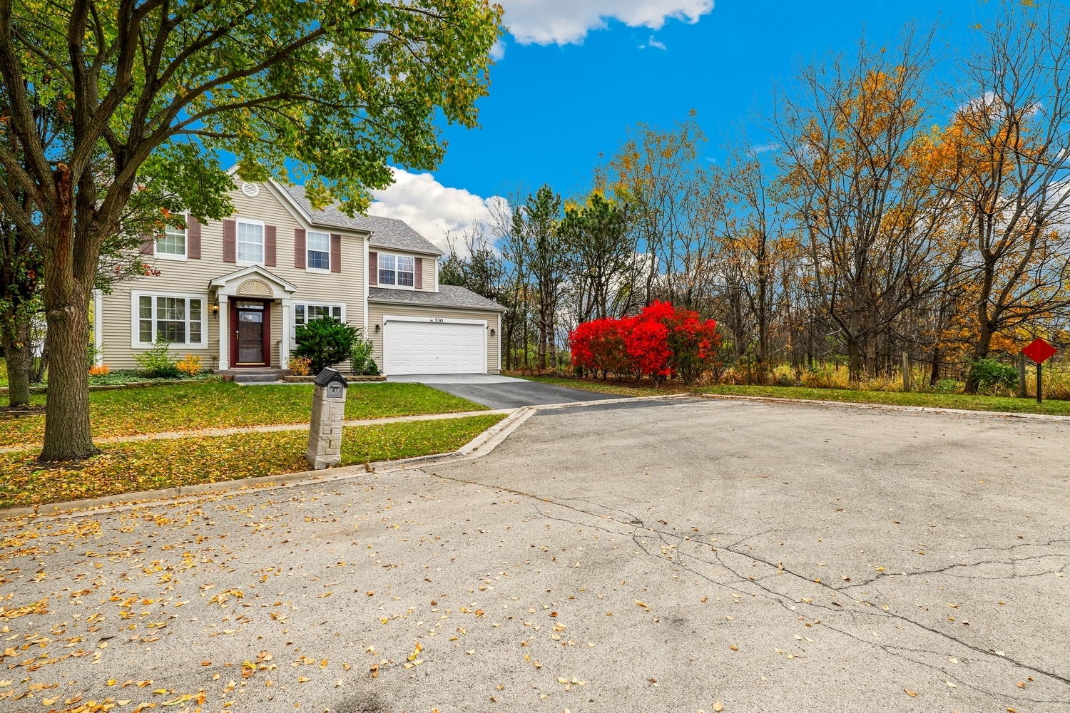 Property Photo:  730 Charismatic Drive  IL 60543 