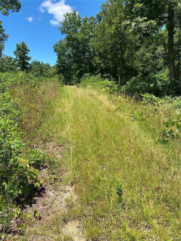 Property Photo:  0 53.84+/- Ac Briarcliff Trail  MO 63071 