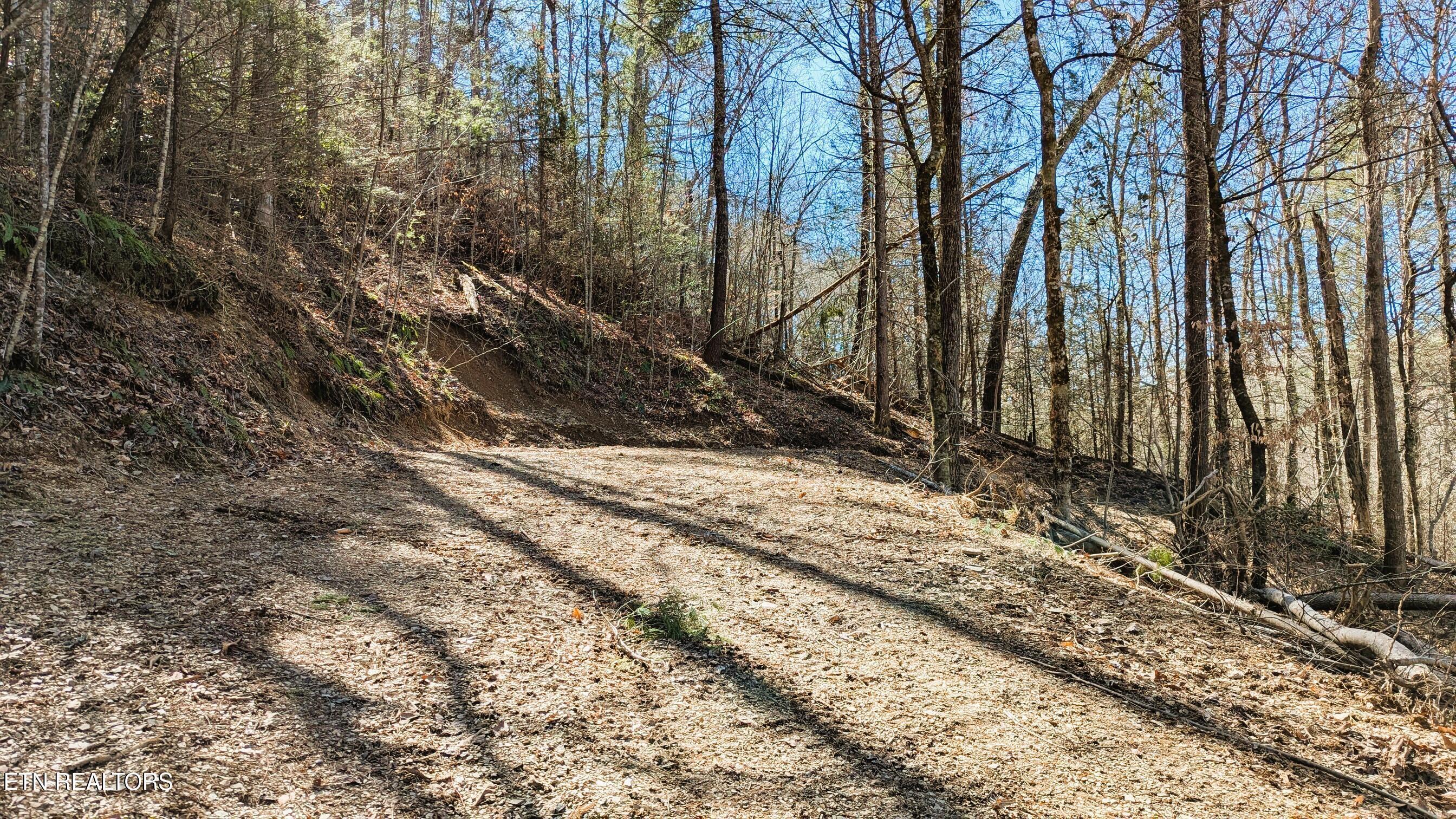 Property Photo:  Carrs Creek (24 Acres) Rd  TN 37882 