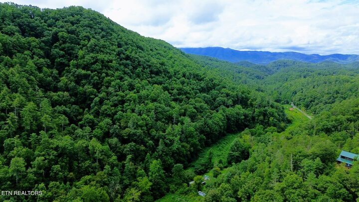 Property Photo:  Carrs Creek (24 Acres) Rd  TN 37882 