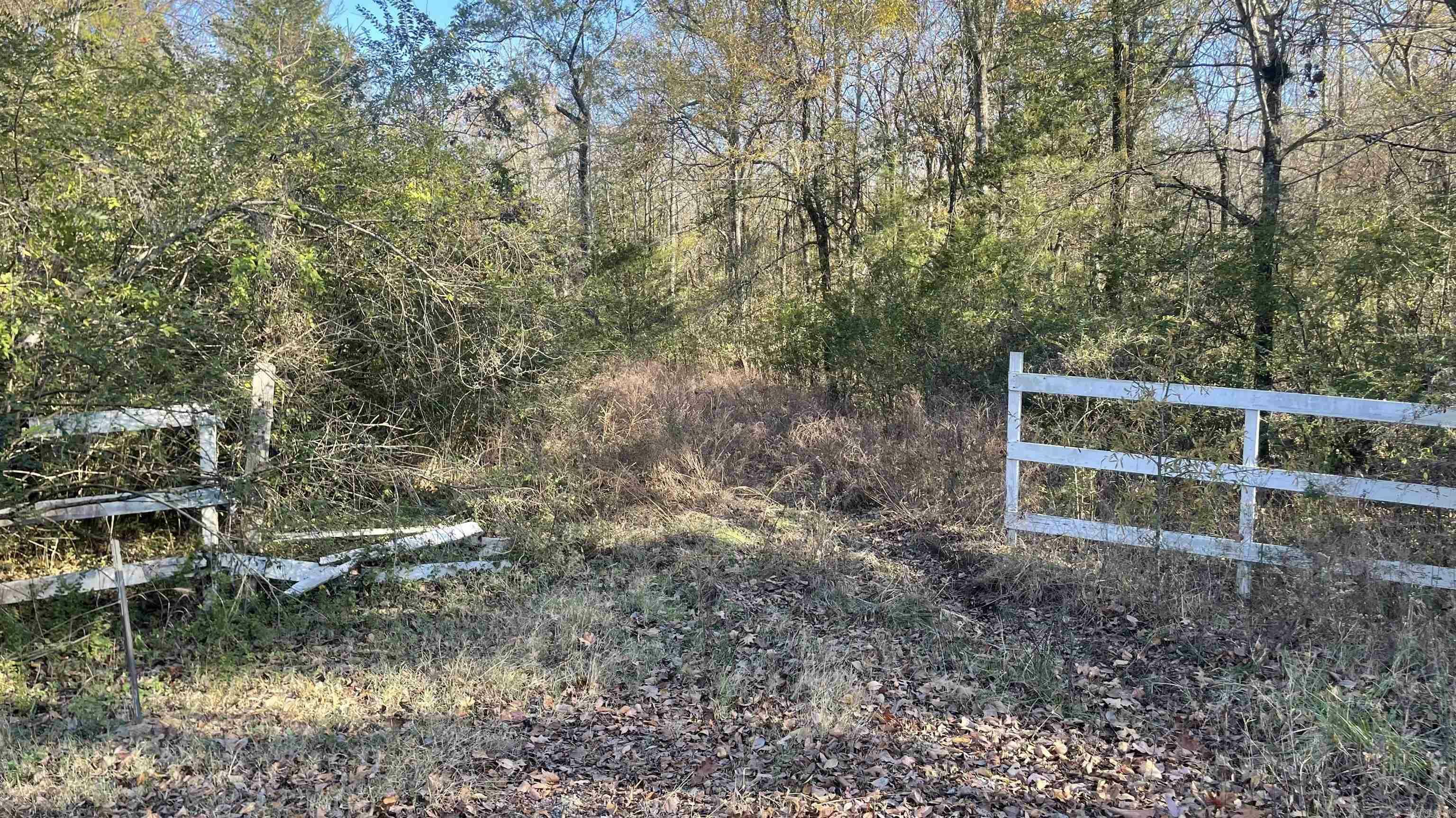 Property Photo:  000 Arnoldsburg South Road  AR 72032 