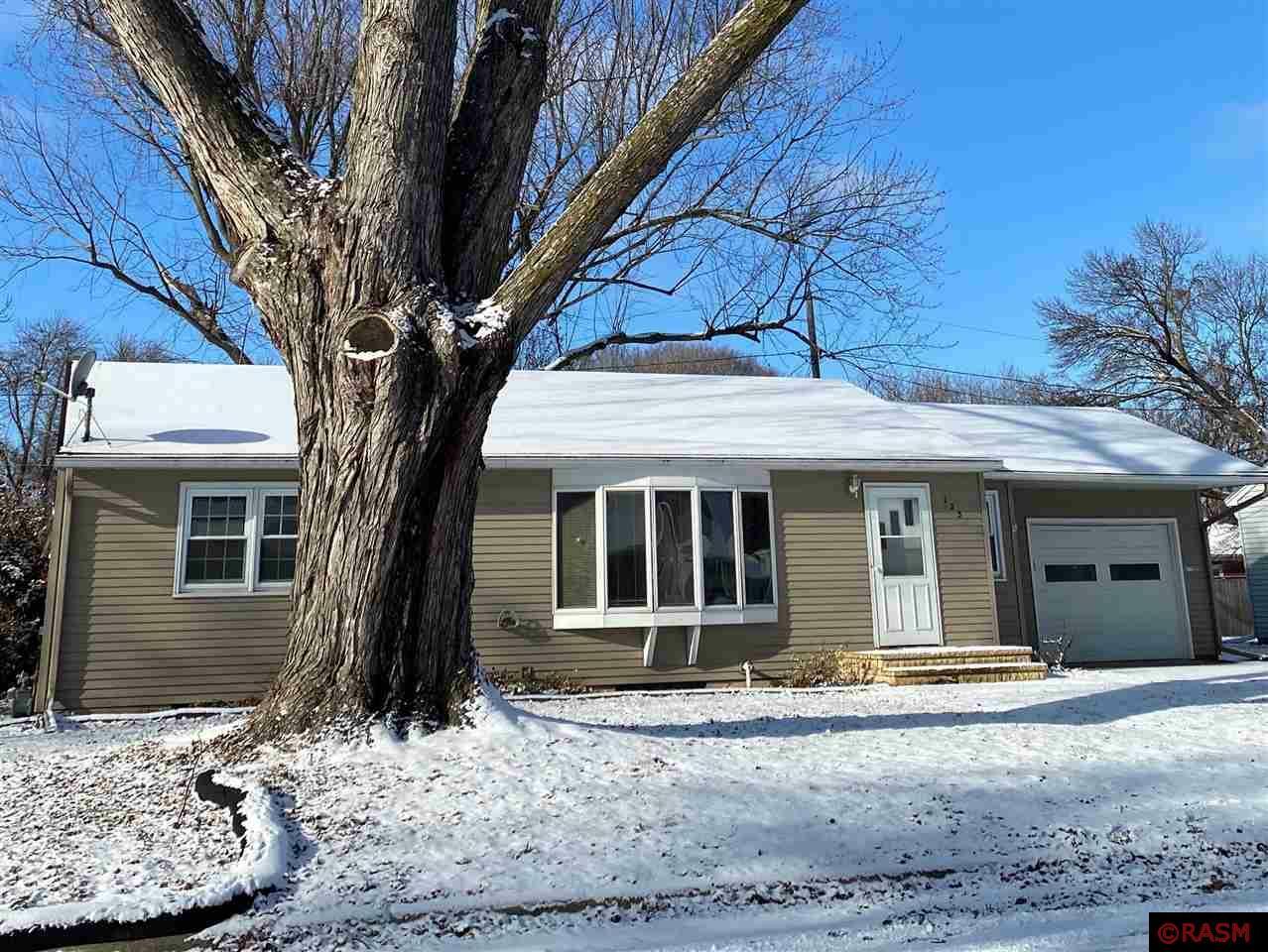 Property Photo:  223 Dillon Avenue  MN 56001 