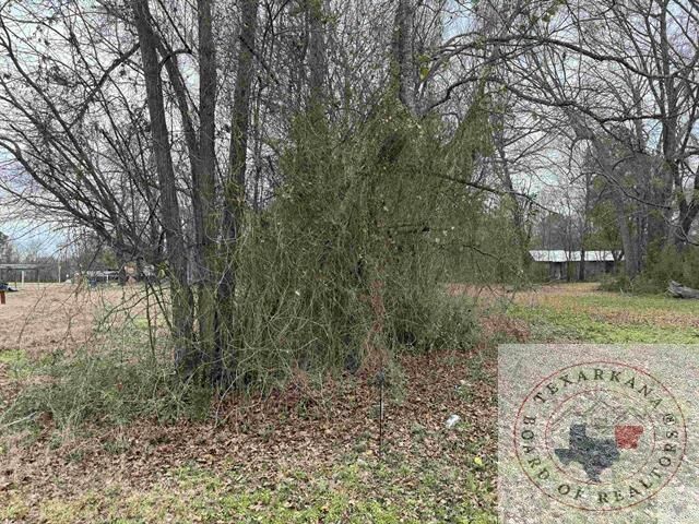 Property Photo:  0 Tbd 1 Ann St  TX 75501 