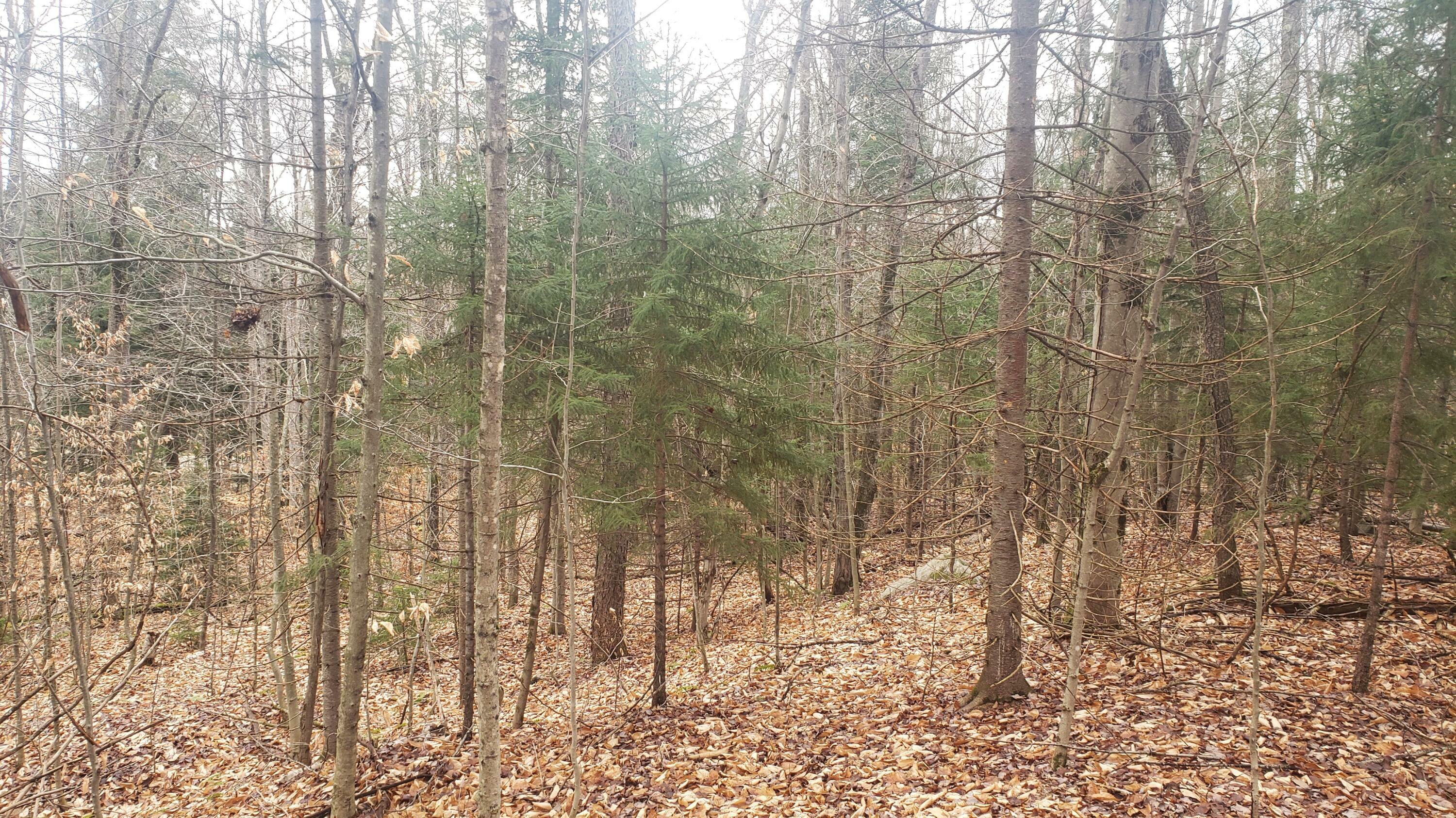 Property Photo:  0 Johnson Road  NY 12953 