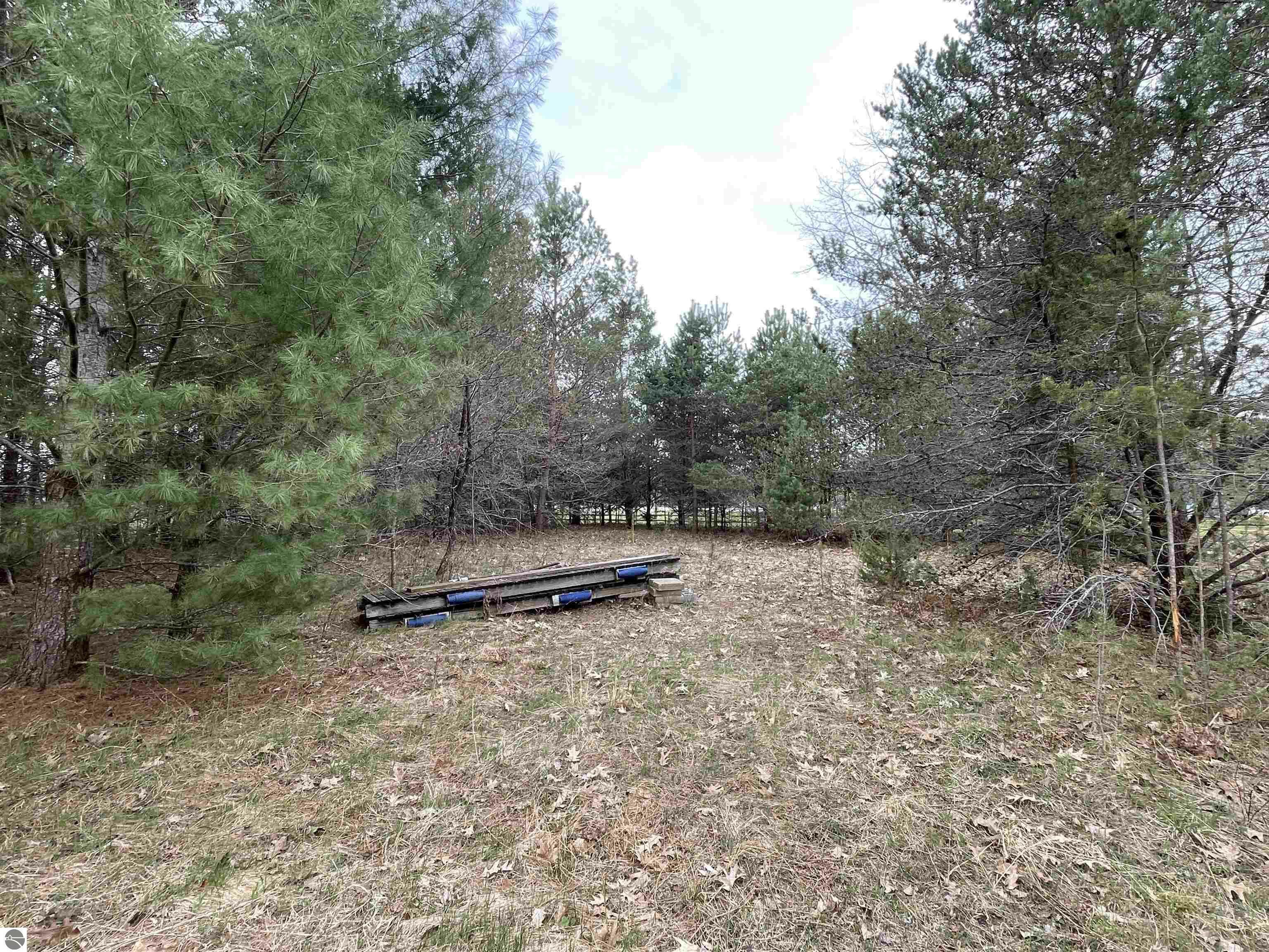 Property Photo: 000 W Lake Mitchell Drive MI 49601