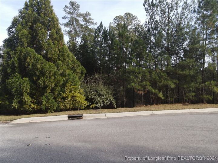 Property Photo:  32 Broadlake Lane  NC 28390 