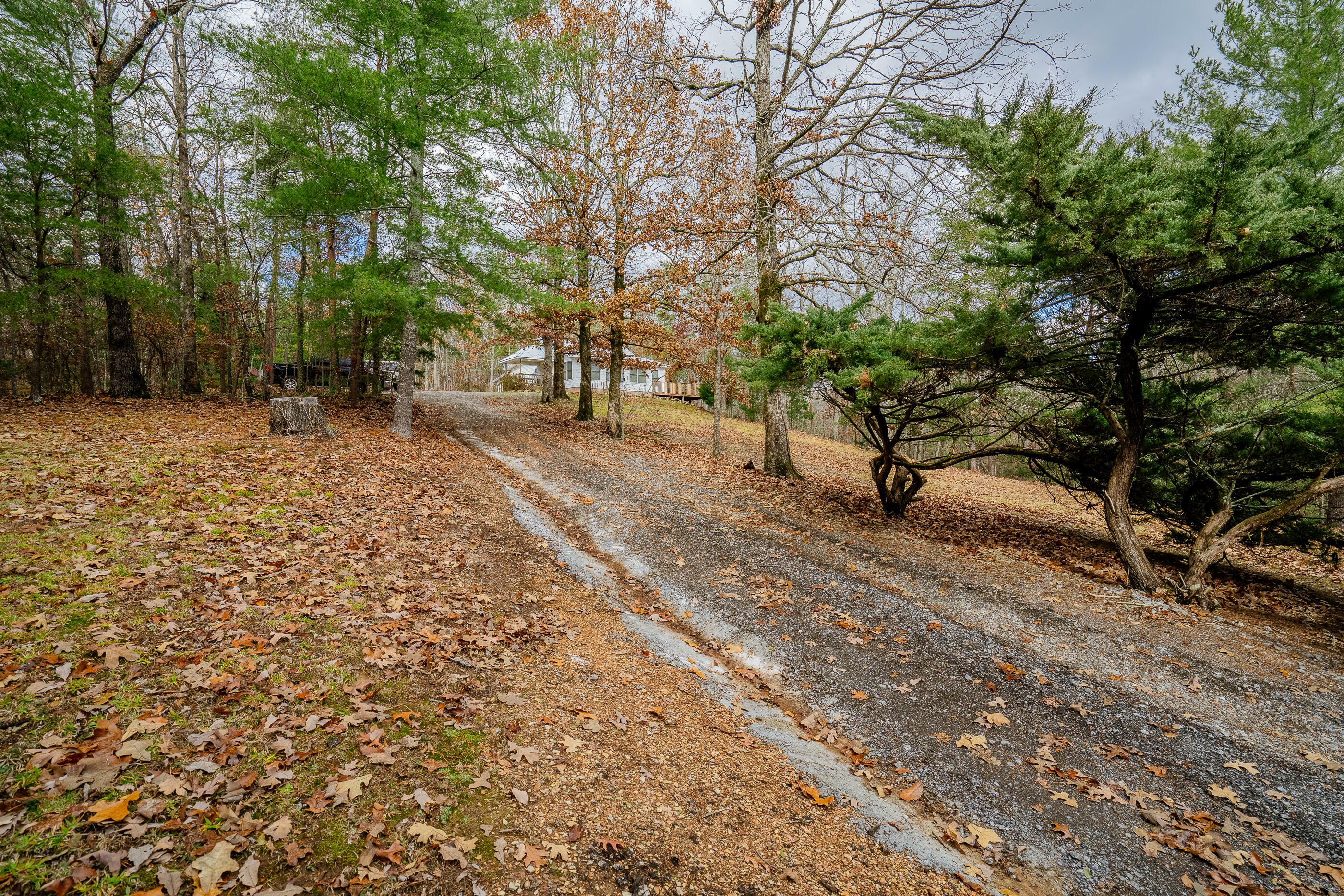 Property Photo:  67 Worley Mill Circle  GA 30705 