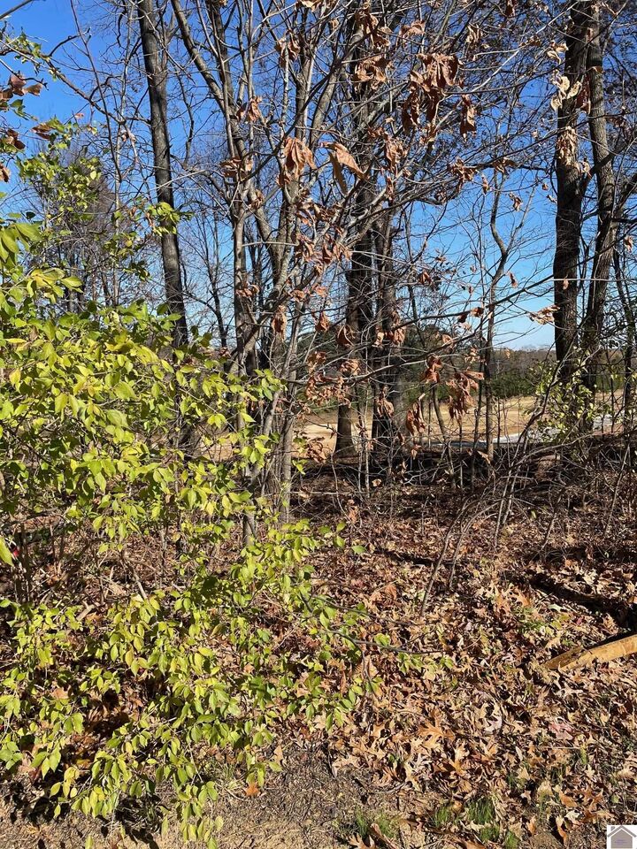 Property Photo: Lot L-81 Forest Ridge Drive KY 42003