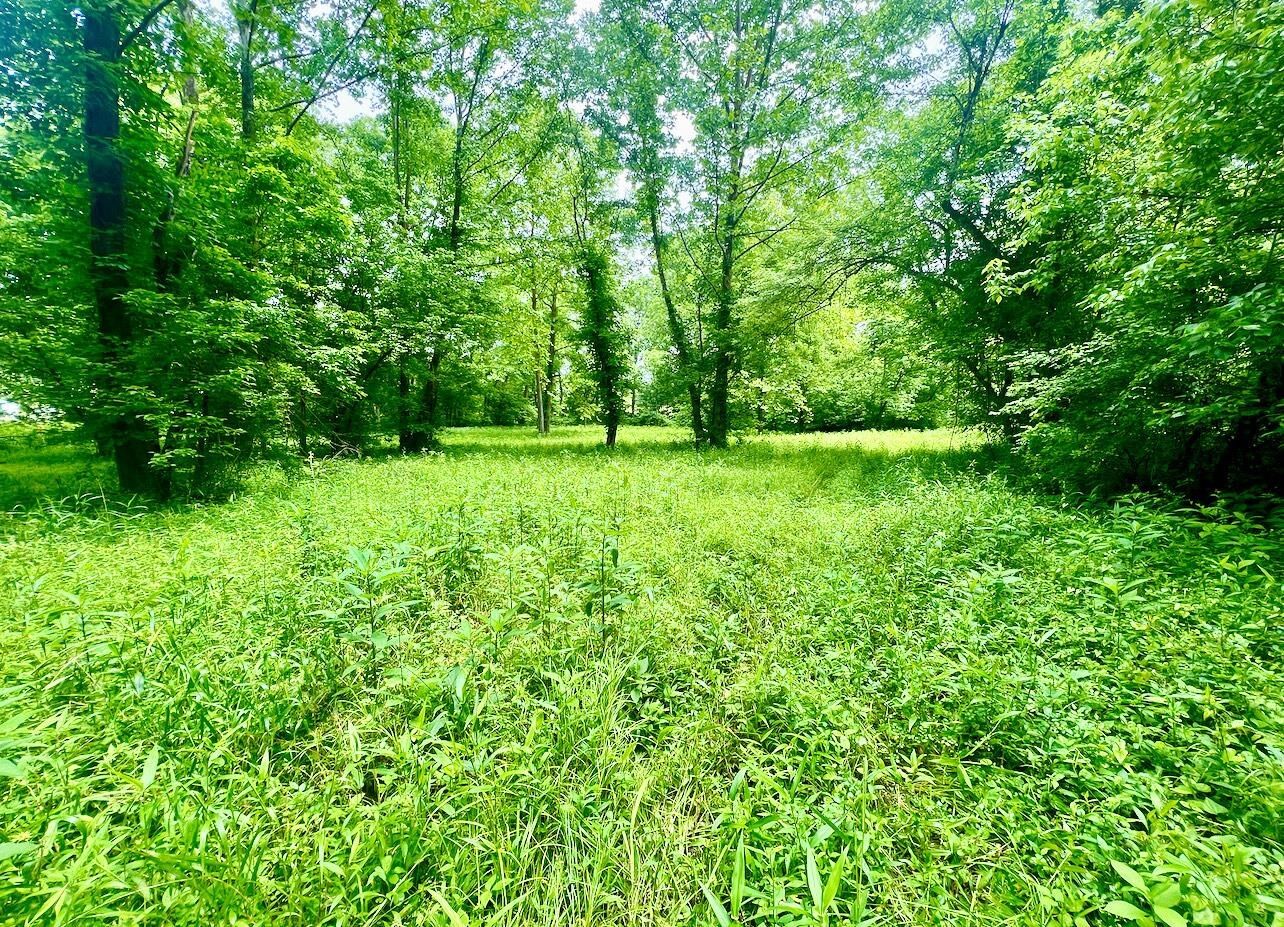 Property Photo:  22250 Kentucky 3  KY 41168 