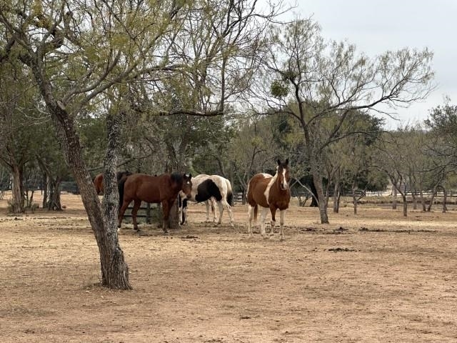 Property Photo:  460 Flying X (Cabin) Road  TX 78669 