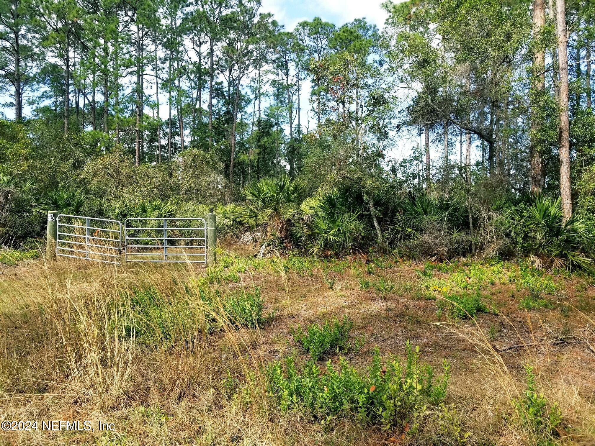 Property Photo:  160 Edgemere Drive  FL 32139 