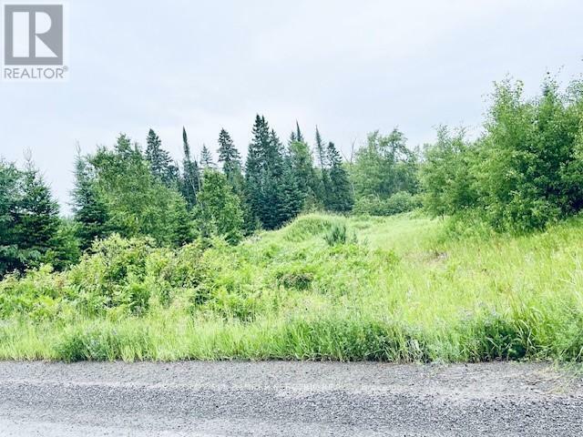000 Lasswade Road  North Kawartha ON K0L 1A0 photo