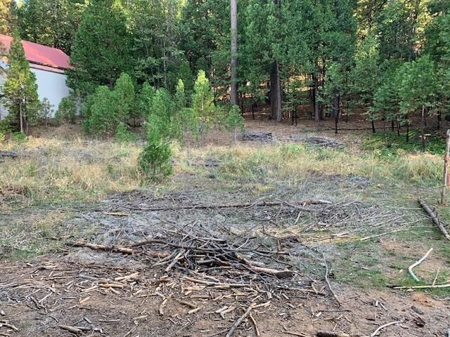 Property Photo: 22975 Twain Harte Dr CA 95383