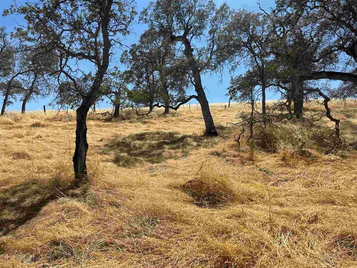 Property Photo: 5102 Fong CA 95228