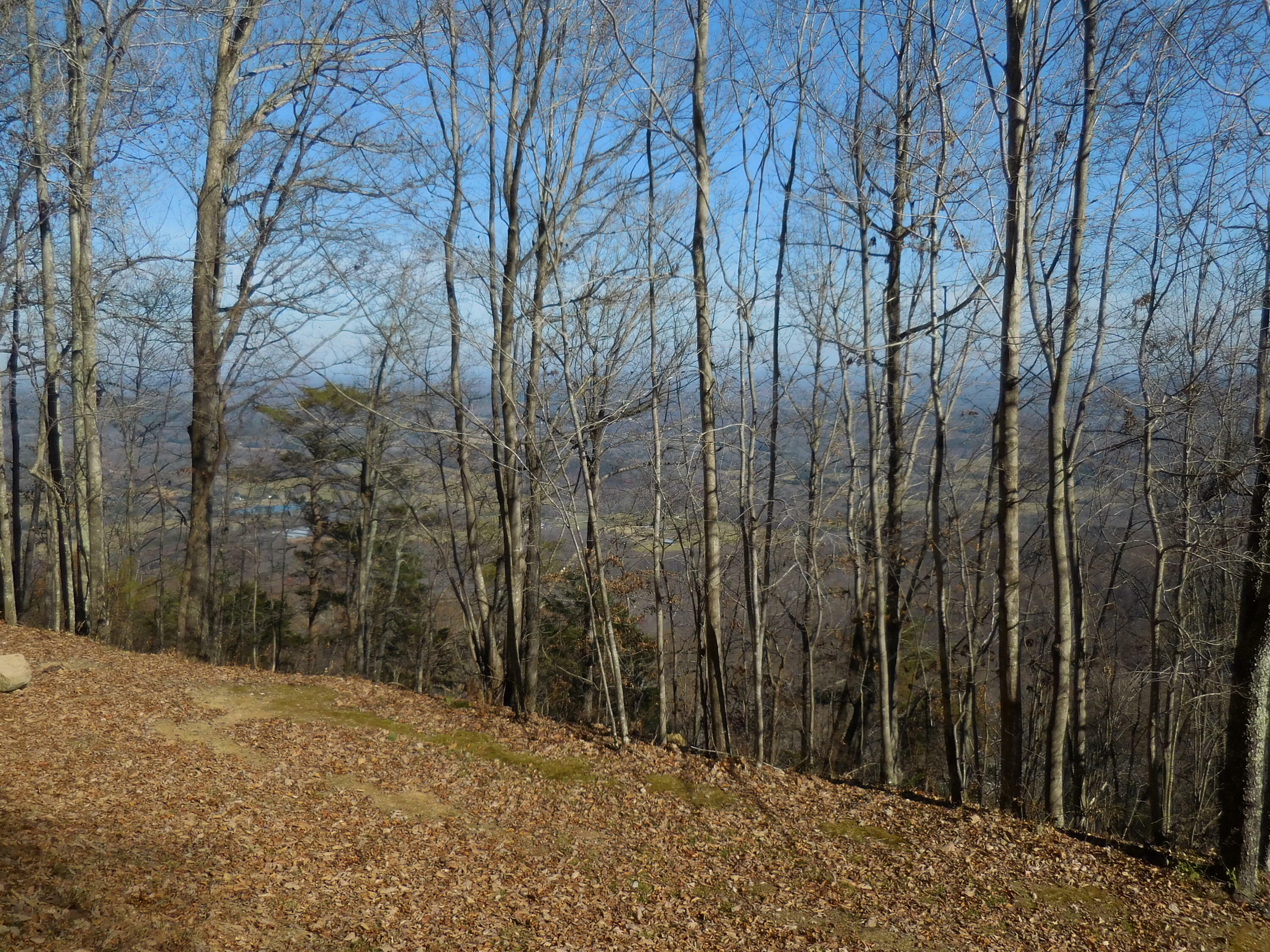 Property Photo:  H64 Tatum Mining Road  GA 30731 