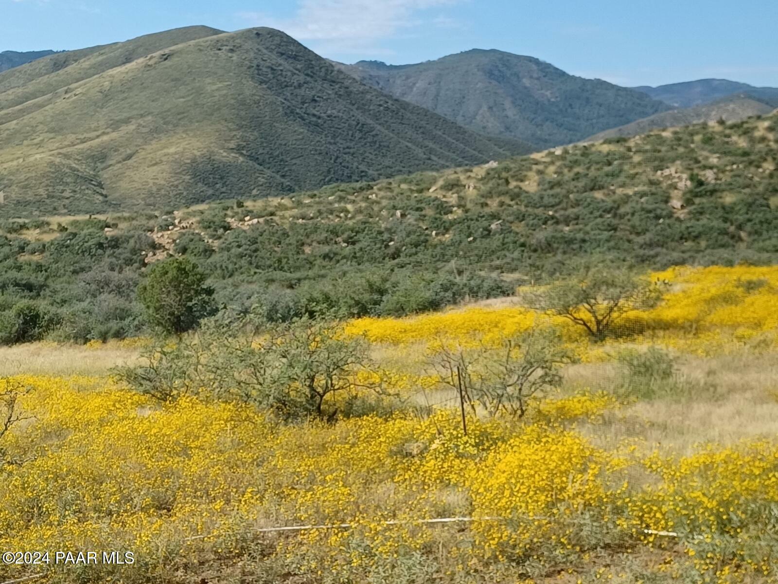 5668 S Miners Pick Rd  Dewey-Humboldt AZ 86329 photo