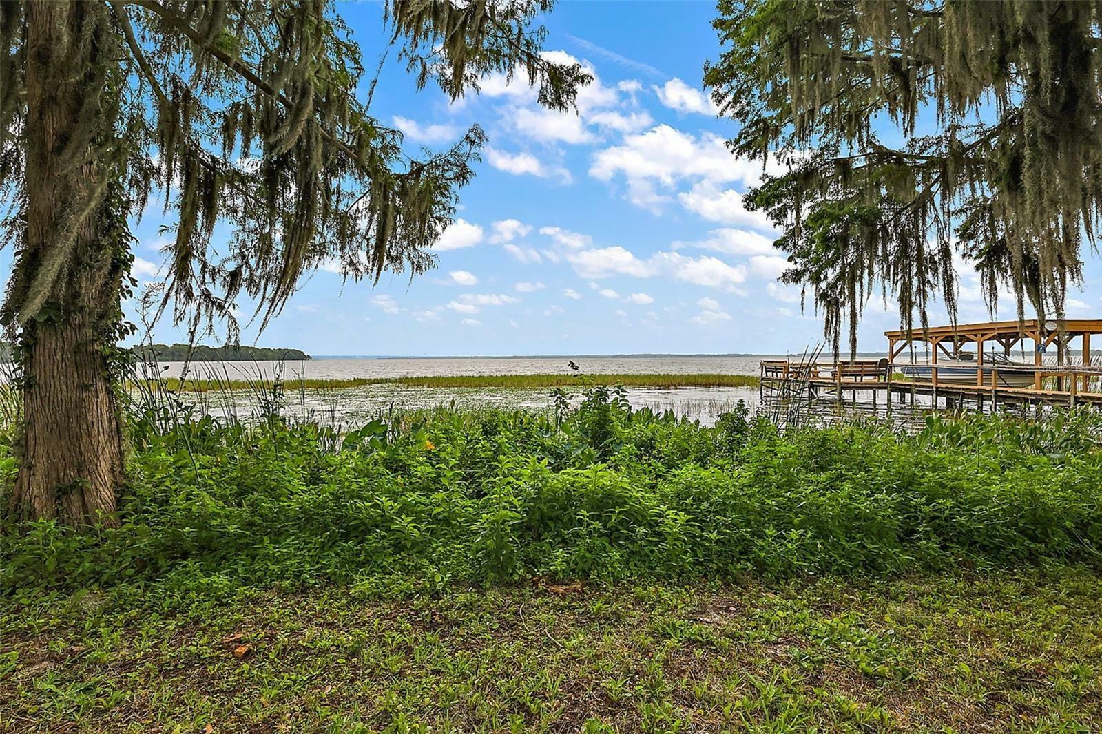 Property Photo:  31035 Cove Road  FL 32778 