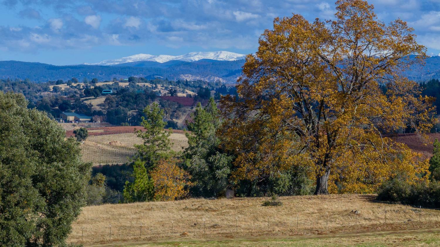 Property Photo:  23550 Upton Road  CA 95669 