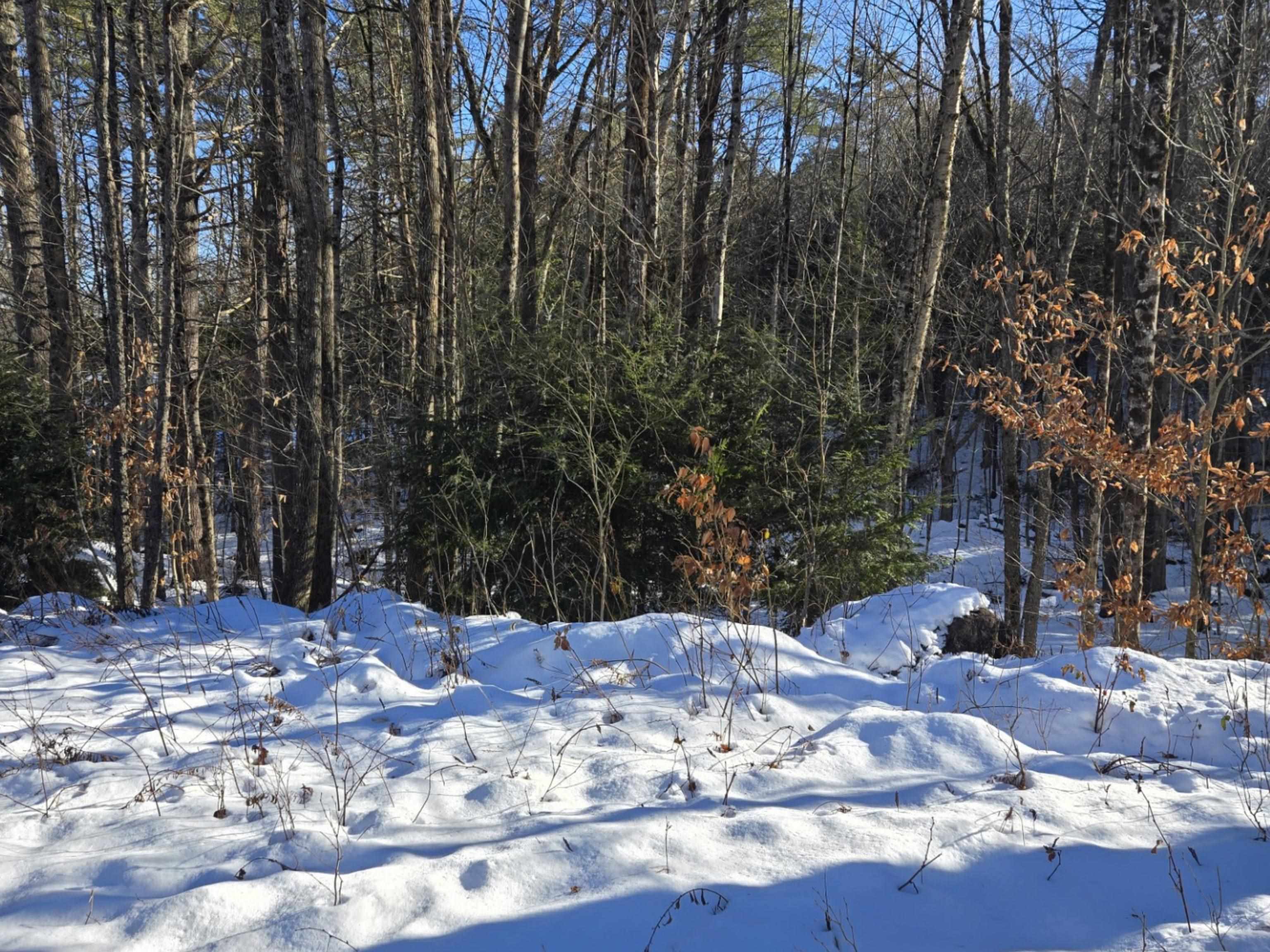 Property Photo:  55 Lakeview Heights  NH 03222 