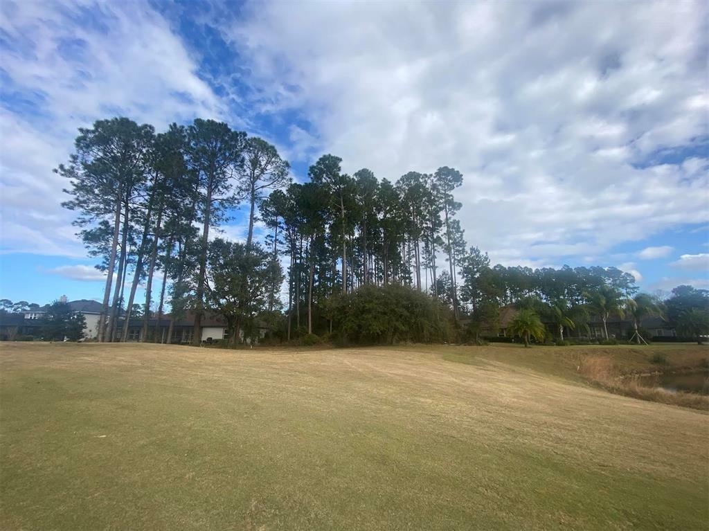 Property Photo:  85107 Napeague Drive  FL 32034 