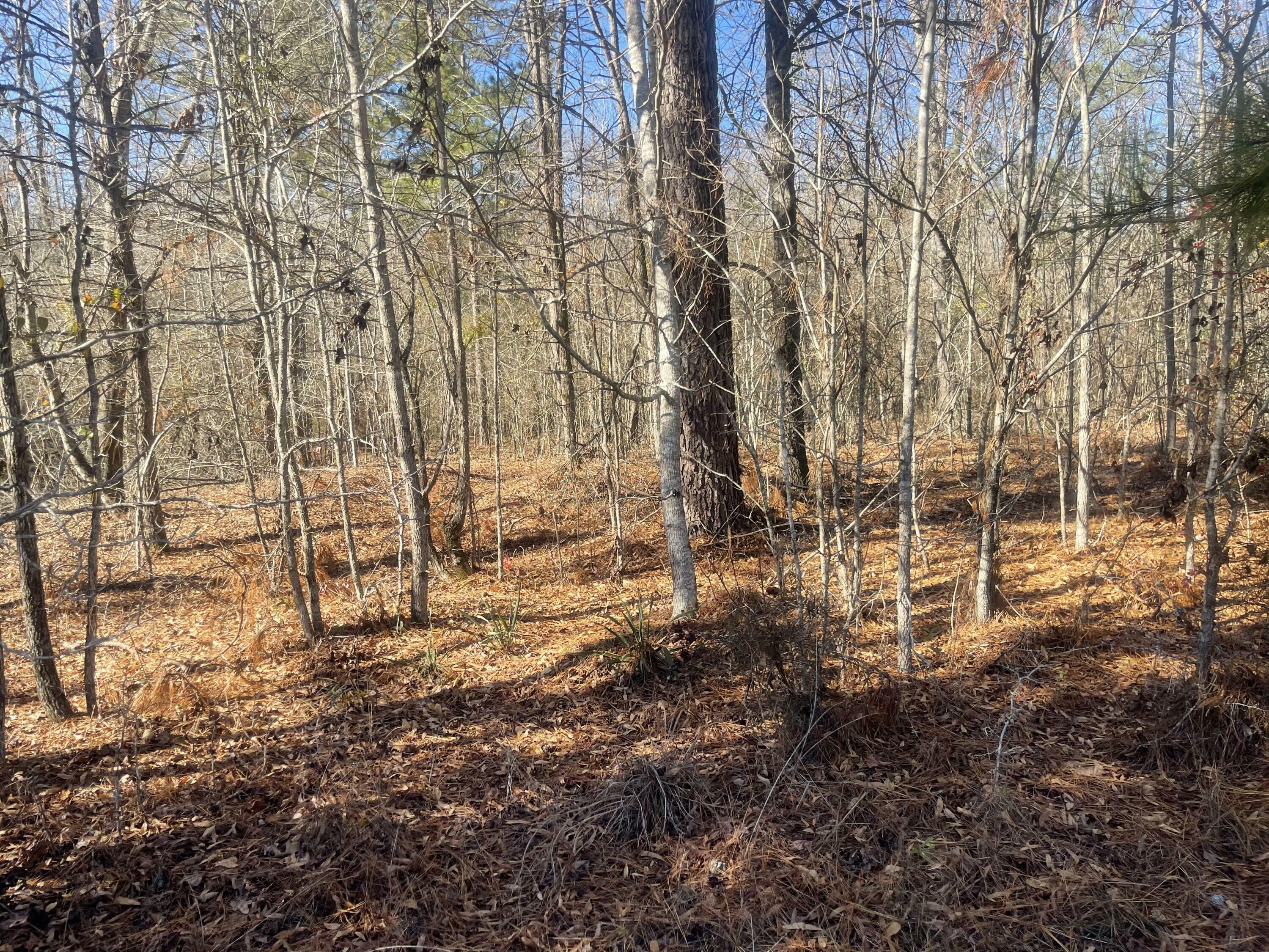 Property Photo:  Lot 8 Black Pearl Drive  GA 30828 