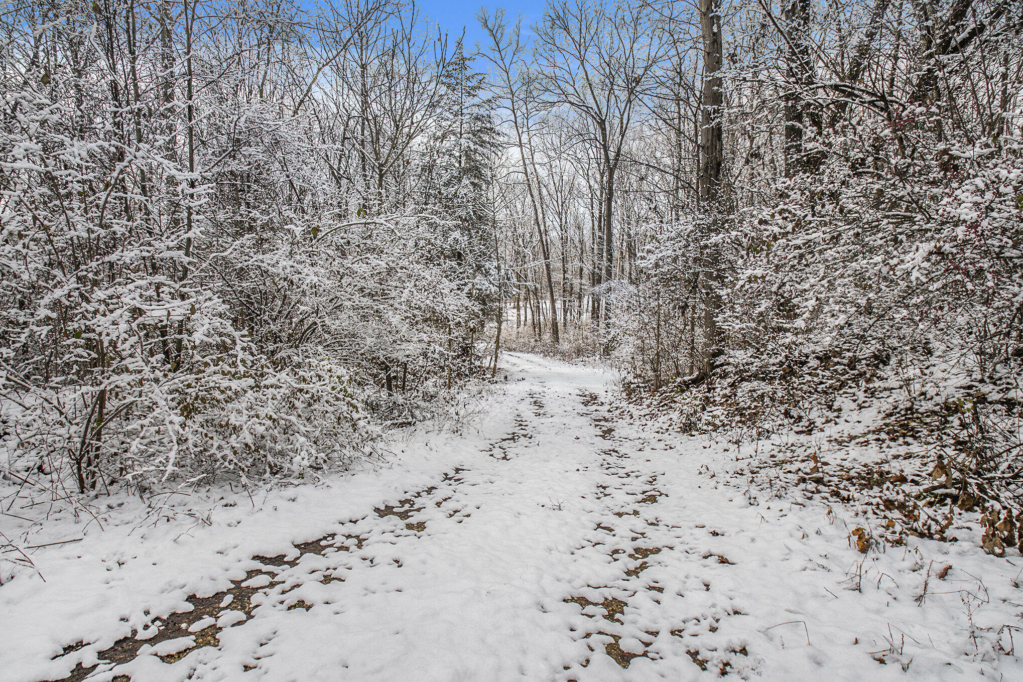 Property Photo:  V/L Scenic View Drive  MI 49120 