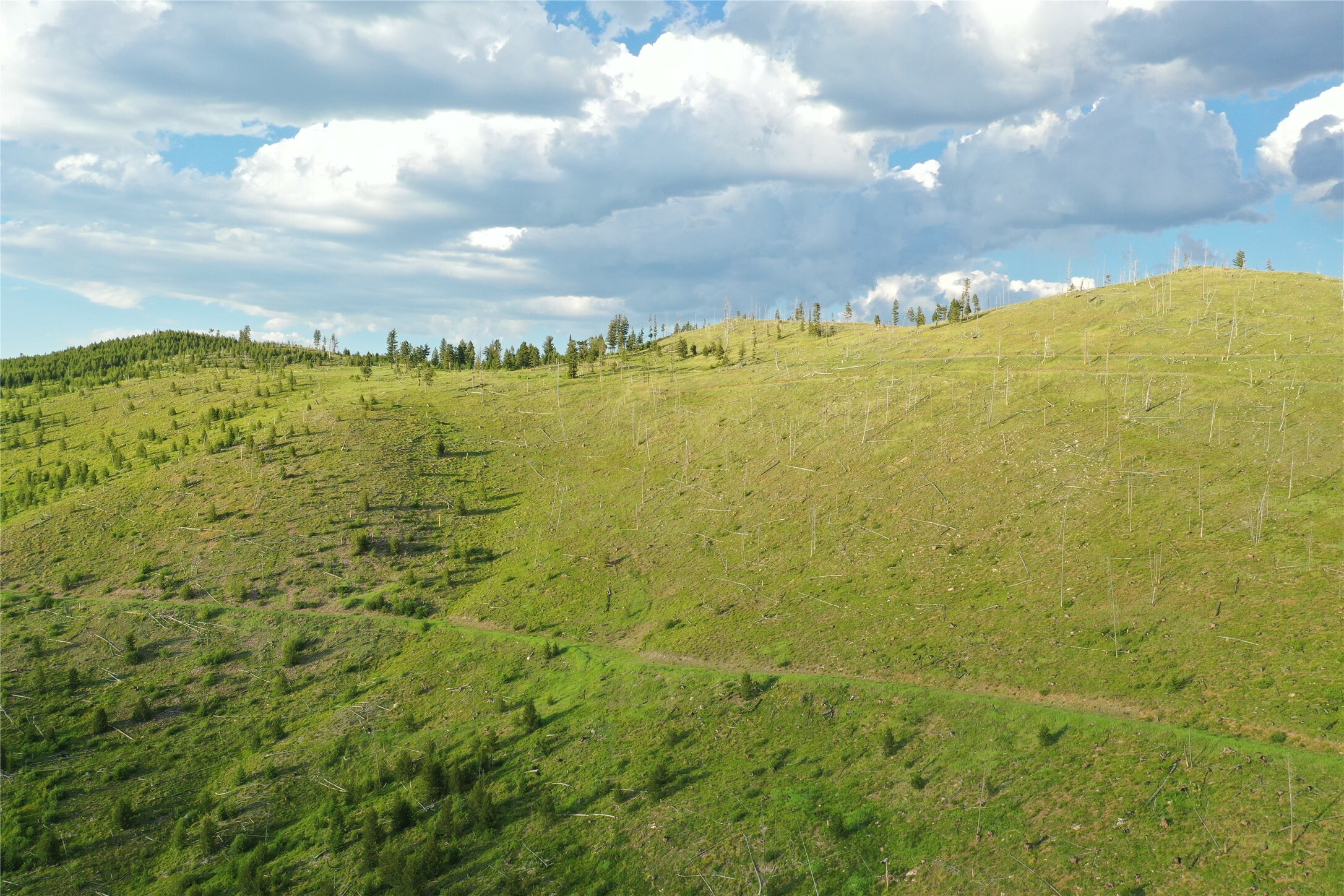 3 Tract, Garnet Range  Drummond MT 59825 photo