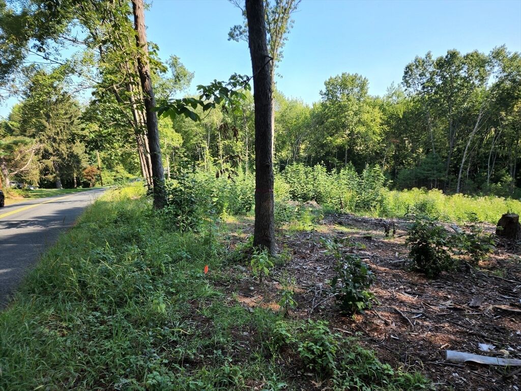 Property Photo:  Lot 6 Cold Hill Rd  MA 01033 