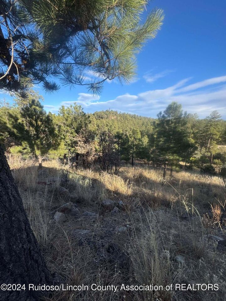 110 Wilshire Road  Ruidoso NM 88345 photo