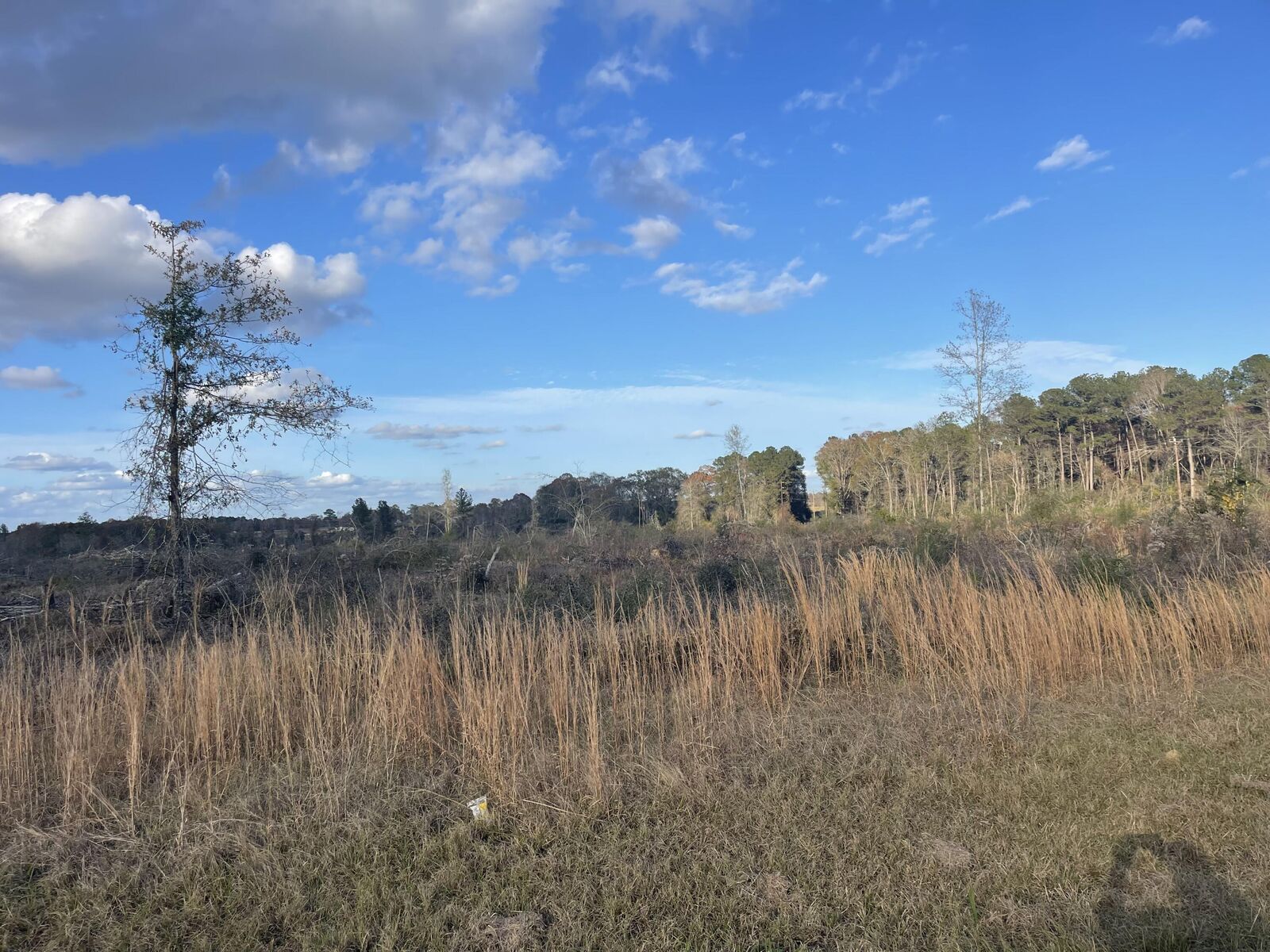 Property Photo: 87 Ac Jack Kerley Rd. MS 39421