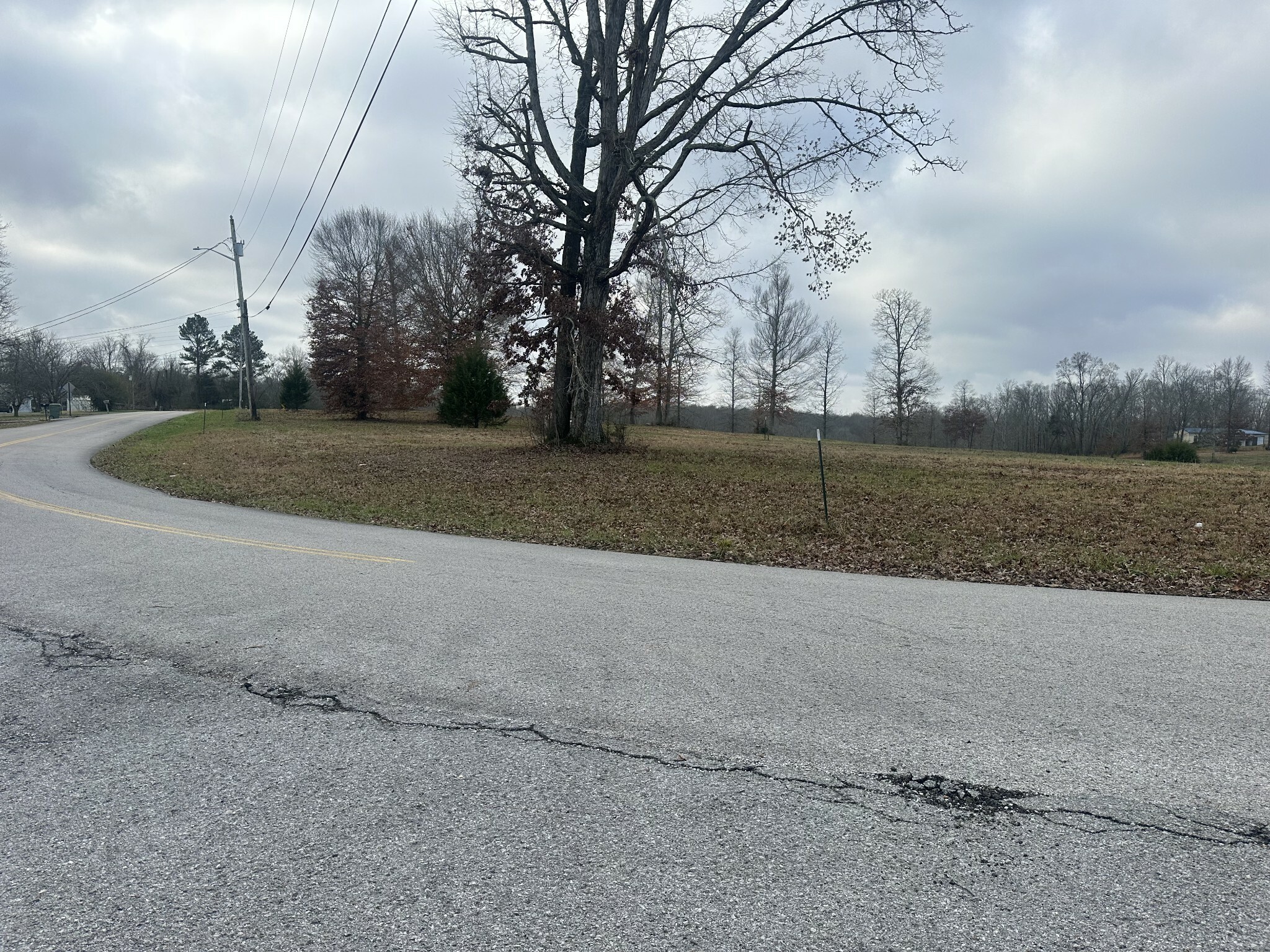 Property Photo: 0 Woodland Drive TN 38464