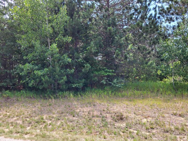 Unit #9 Bear Paws Trail  Vanderbilt MI 49795 photo
